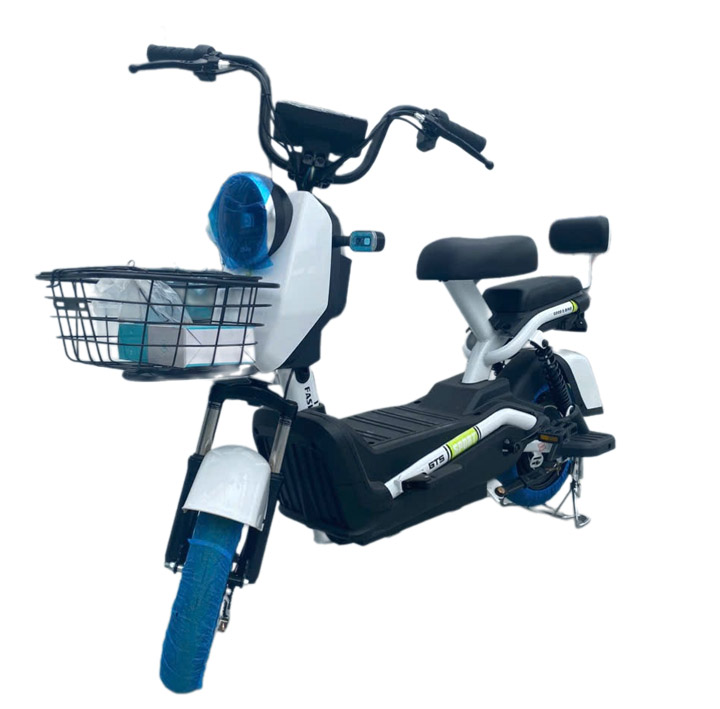 Xe đạp điện DXMIT Apple 2