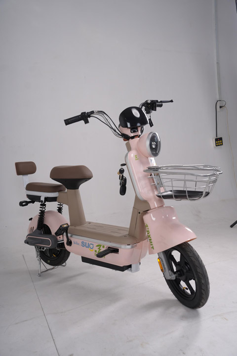 Xe đạp điện DXMIT Apple 3