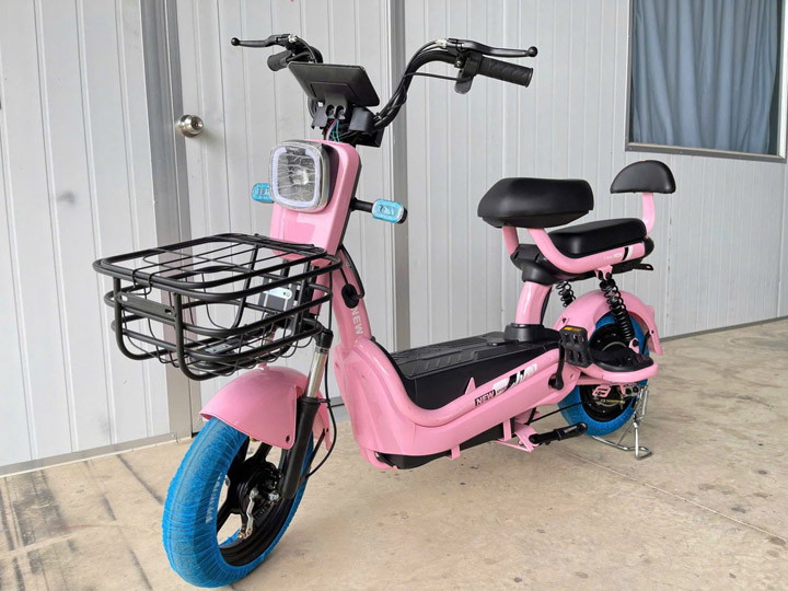 Xe đạp điện DXMIT Apple 4