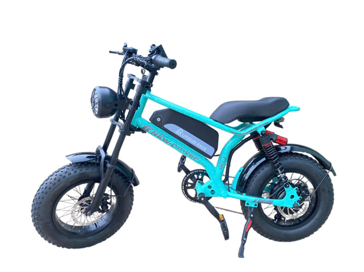 Xe đạp điện DXMIT Ranger