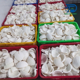 Cơm dừa đông lạnh