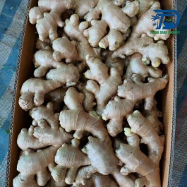 Gừng xuất khẩu