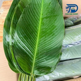 Lá dong tươi