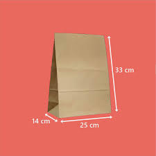 Túi giấy kraft dây V