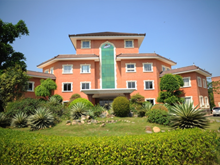 Chăm sóc mảng xanh Vinamit - Cây Xanh Green Life - Công Ty TNHH Thương Mại Dịch Vụ Cây Xanh Green Life