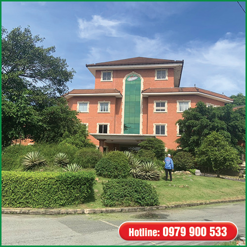 Dịch vụ bảo dưỡng và chăm sóc cây xanh - Cây Xanh Green Life - Công Ty TNHH Thương Mại Dịch Vụ Cây Xanh Green Life