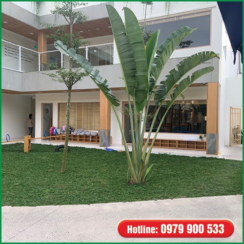 Dịch vụ bảo dưỡng và chăm sóc cây xanh - Cây Xanh Green Life - Công Ty TNHH Thương Mại Dịch Vụ Cây Xanh Green Life