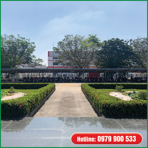 Dịch vụ bảo dưỡng và chăm sóc cây xanh - Cây Xanh Green Life - Công Ty TNHH Thương Mại Dịch Vụ Cây Xanh Green Life