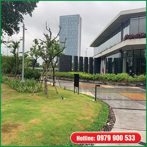 Dịch vụ bảo dưỡng và chăm sóc cây xanh - Cây Xanh Green Life - Công Ty TNHH Thương Mại Dịch Vụ Cây Xanh Green Life