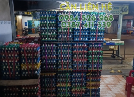 Hình ảnh hoạt động cơ sở trứng gia cầm Gia Bảo