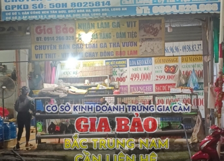 Hình ảnh hoạt động cơ sở trứng gia cầm Gia Bảo