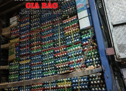 Hình ảnh hoạt động cơ sở trứng gia cầm Gia Bảo