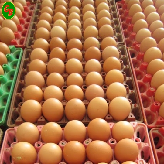 Trứng gà 20 ký cỡ 56-58Gram