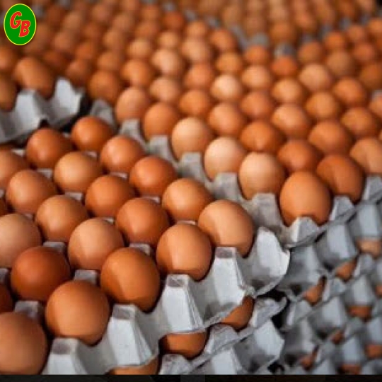 Trứng gà 21 ký cỡ 60-62Gram