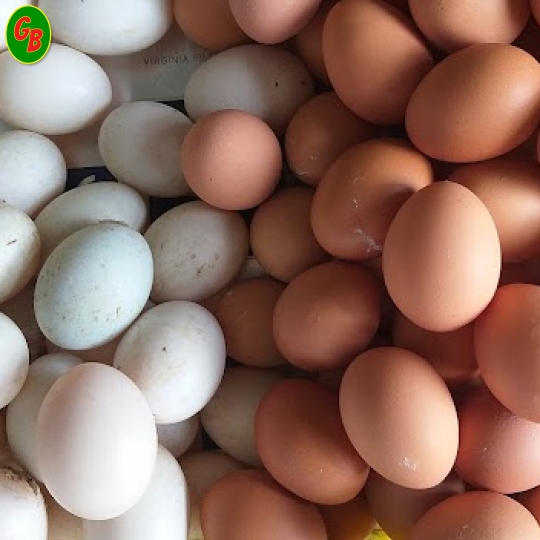 Trứng gà 23 ký cỡ 68-70Gram