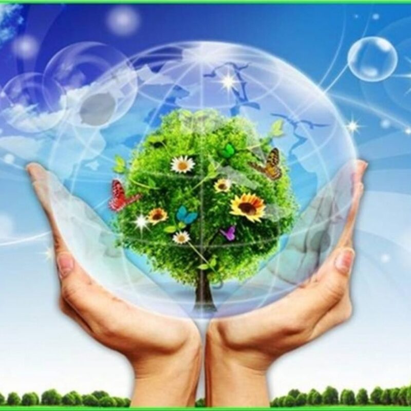 Dịch vụ tư vấn môi trường - Công Ty CP Xử Lý Môi Trường Nghệ An