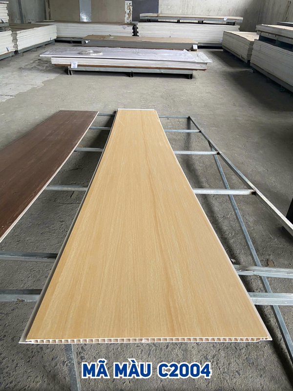 Tấm ốp Nano C2004