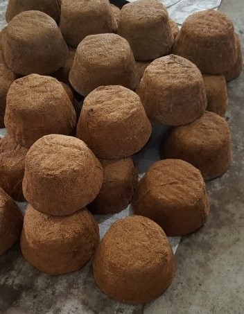 Miếng lót xơ dừa