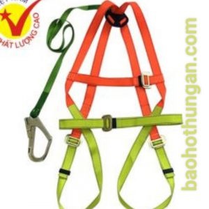Dây an toàn toàn thân 1 móc lớn 45C