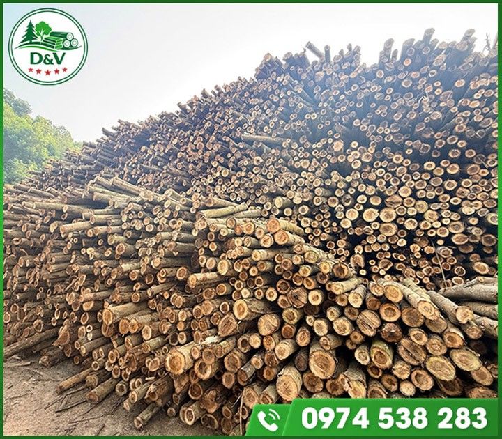 Gỗ nguyên liệu