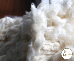 Bông phế liệu - Sợi Lê Việt - Công Ty TNHH Sản Xuất Thương Mại Bông Sợi Lê Việt