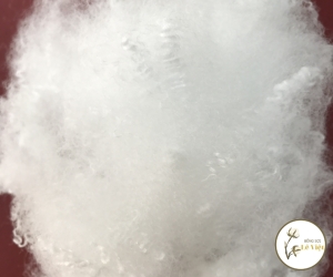 Bông (xơ polyester) - Sợi Lê Việt - Công Ty TNHH Sản Xuất Thương Mại Bông Sợi Lê Việt