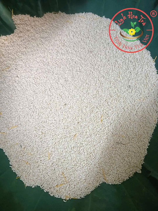 Gạo sen - Linh Hoa Trà  - Công Ty TNHH Tư Vấn Dịch Vụ Và Thương Mại Văn Lê