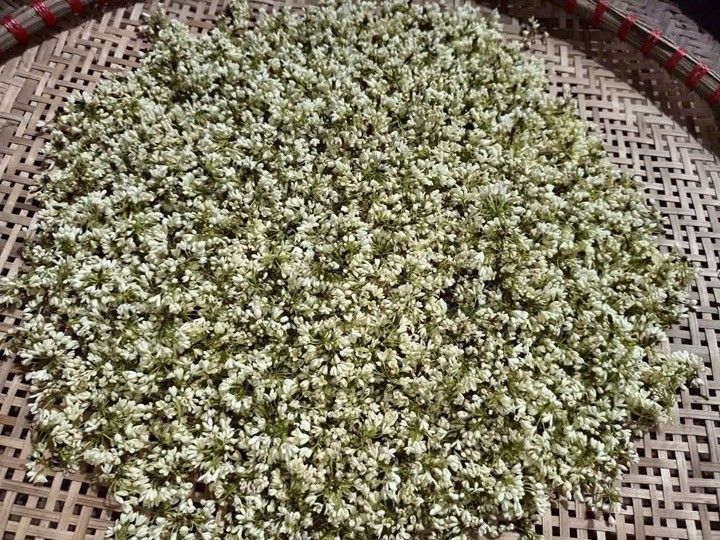 Hoa bưởi nguyên liệu - Linh Hoa Trà  - Công Ty TNHH Tư Vấn Dịch Vụ Và Thương Mại Văn Lê