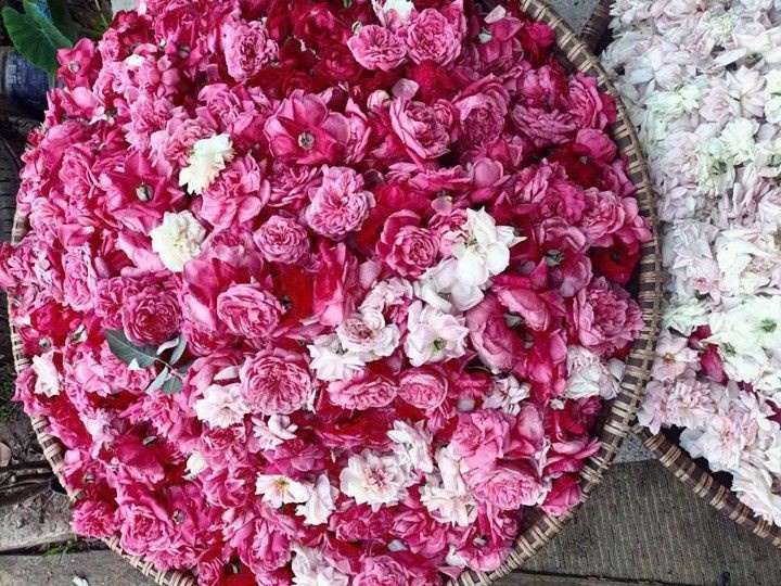 Hoa hồng - Linh Hoa Trà  - Công Ty TNHH Tư Vấn Dịch Vụ Và Thương Mại Văn Lê