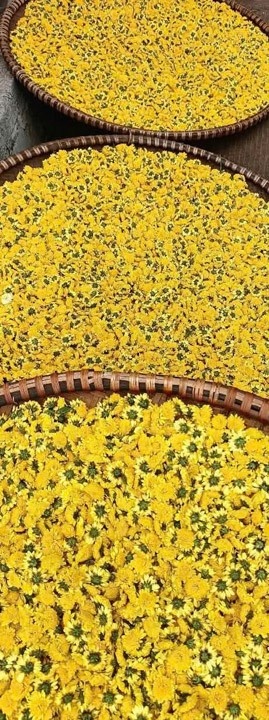 Mẹt cúc - Linh Hoa Trà  - Công Ty TNHH Tư Vấn Dịch Vụ Và Thương Mại Văn Lê