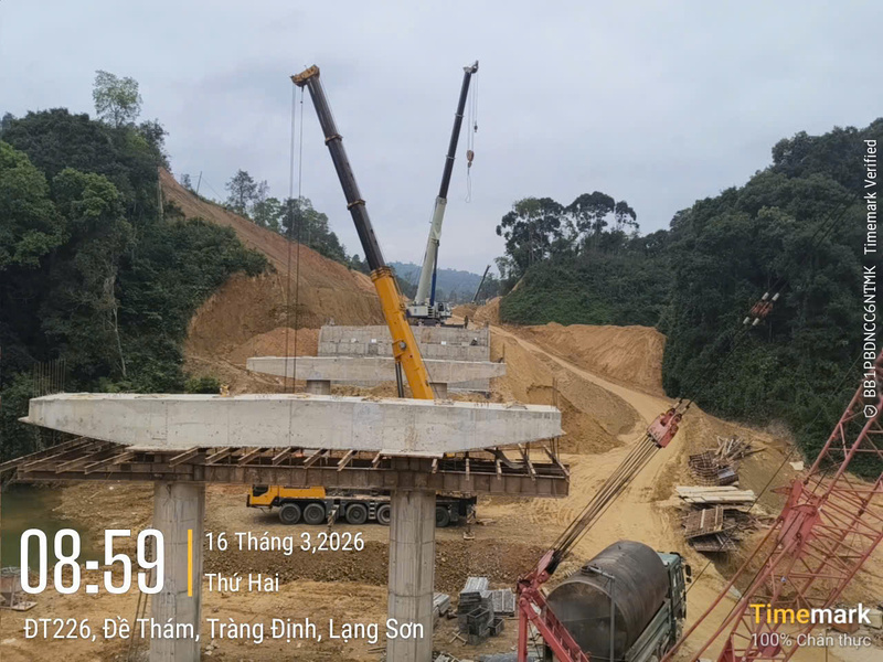 Cho thuê cẩu công trình