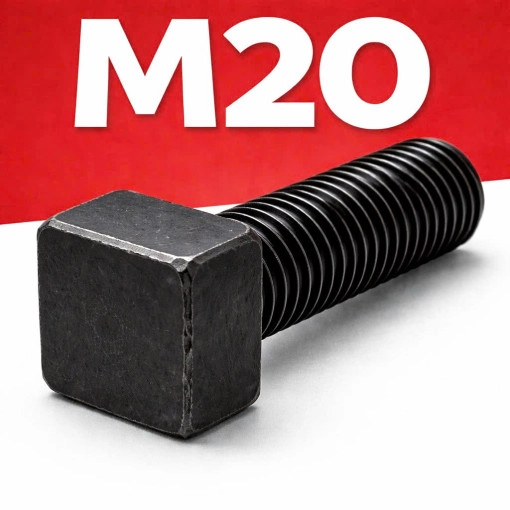 Bu lông đầu vuông M20