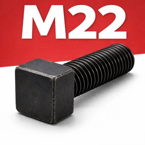 Bu lông đầu vuông M22