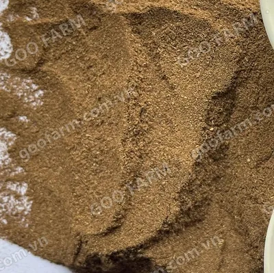 Trà đen Dust 2, dust 3
