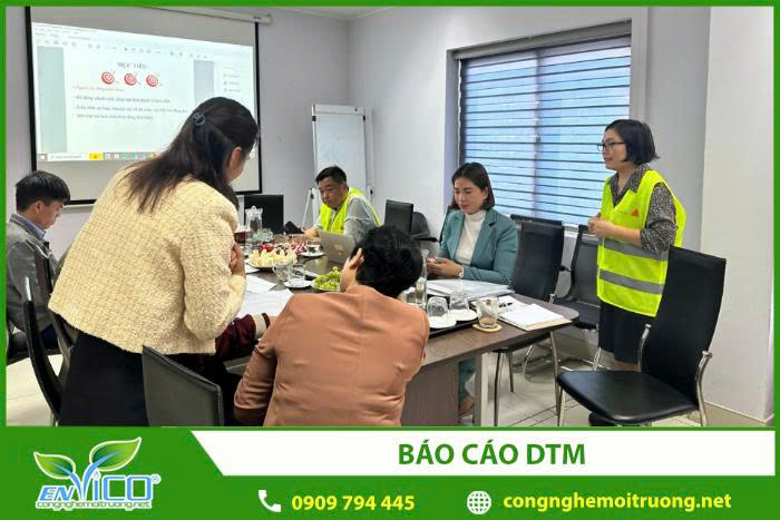 Báo cáo DTM