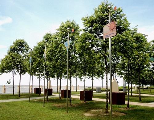 Cây công trình - Cây Xanh Minh Khang  - Công Ty TNHH Thương Mại Cây Xanh Minh Khang