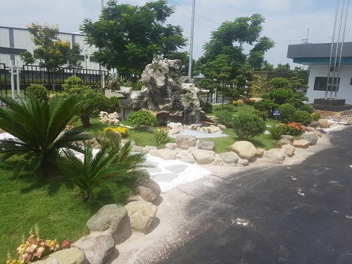 Cây công trình - Cây Xanh Minh Khang  - Công Ty TNHH Thương Mại Cây Xanh Minh Khang