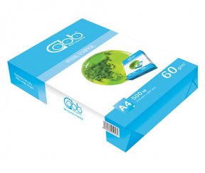 Giấy in A4 BaiBang vỏ xanh 60