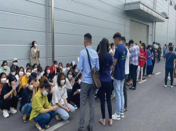 Dịch vụ môi giới lao động