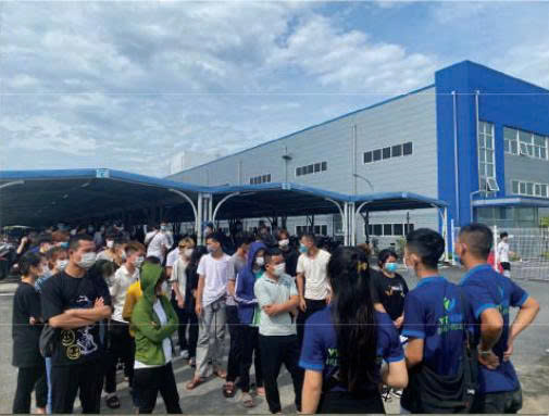 Dịch vụ môi giới lao động