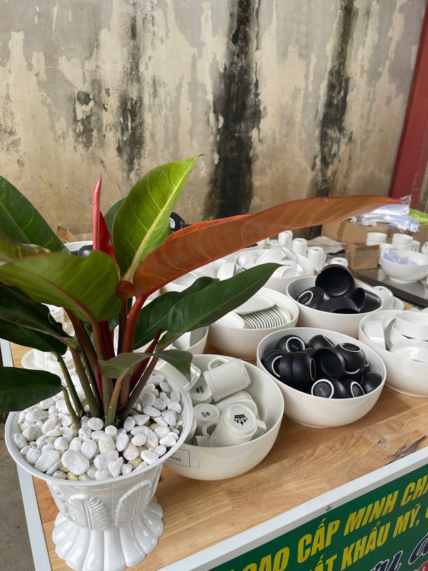 Bộ bát đĩa sứ nhà hàng