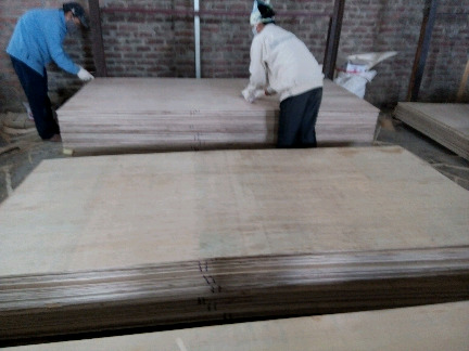 Hình ảnh hoạt động sản xuất