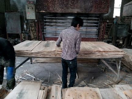 Hình ảnh hoạt động sản xuất