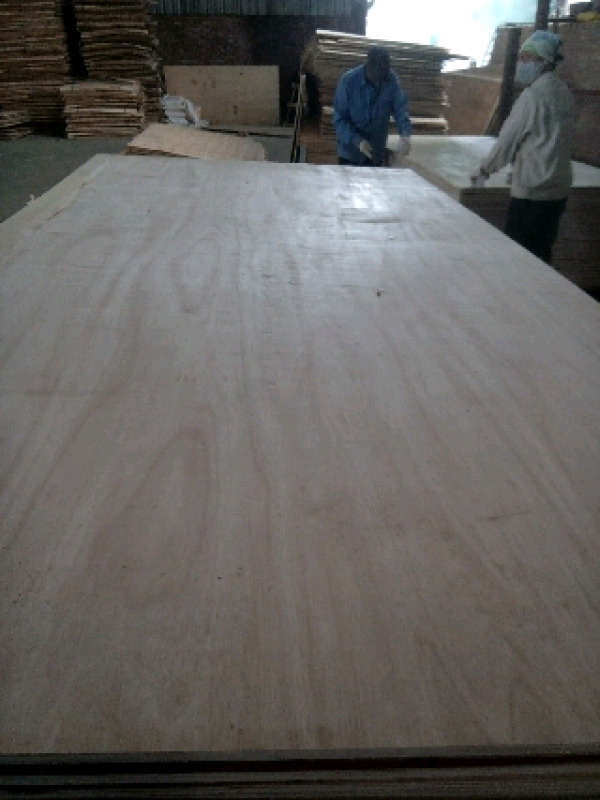 Ván ép thương mại mặt AA trắng