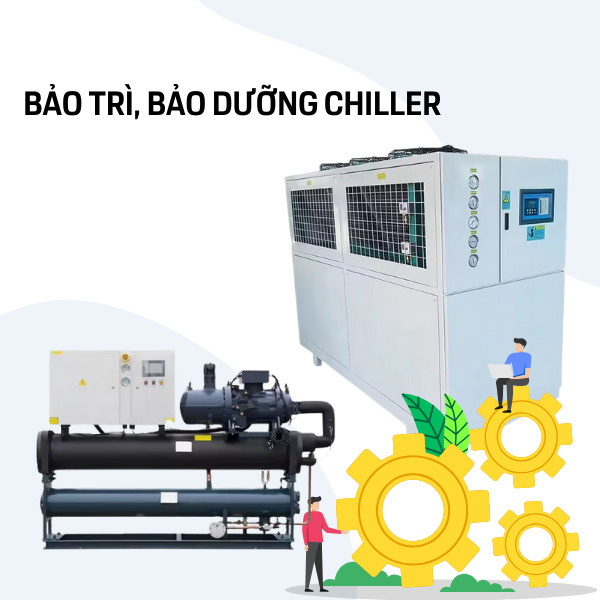 Dịch vụ bảo trì Chiller