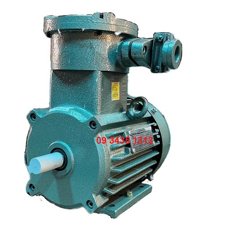 Motor phòng nổ 3 pha 0.75kW - Máy Điện VIHEM - Công Ty Cổ Phần Máy Điện VIHEM