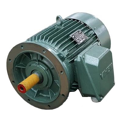 Động cơ điện 3 pha 45kW - Máy Điện VIHEM - Công Ty Cổ Phần Máy Điện VIHEM
