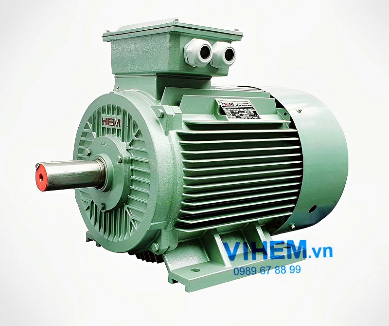 Động cơ điện 3 pha HEM 55kW - Máy Điện VIHEM - Công Ty Cổ Phần Máy Điện VIHEM
