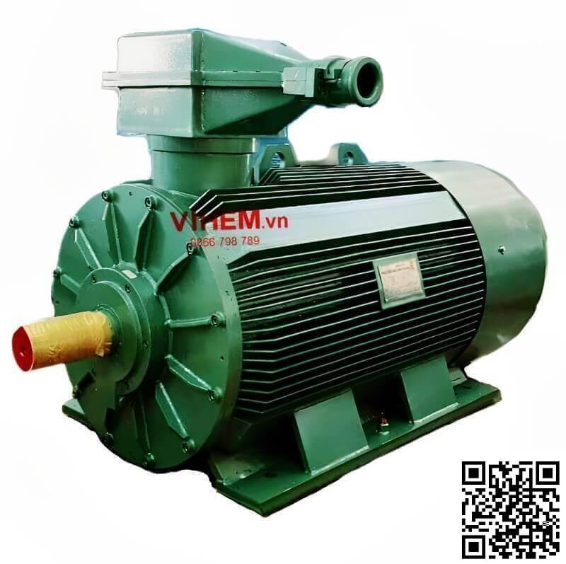 Động cơ điện phòng nổ 132kW - Máy Điện VIHEM - Công Ty Cổ Phần Máy Điện VIHEM