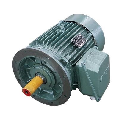 Động cơ mặt bích 30kW - Máy Điện VIHEM - Công Ty Cổ Phần Máy Điện VIHEM